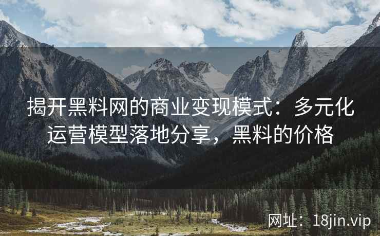 揭开黑料网的商业变现模式：多元化运营模型落地分享，黑料的价格
