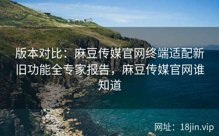 版本对比：麻豆传媒官网终端适配新旧功能全专家报告，麻豆传媒官网谁知道