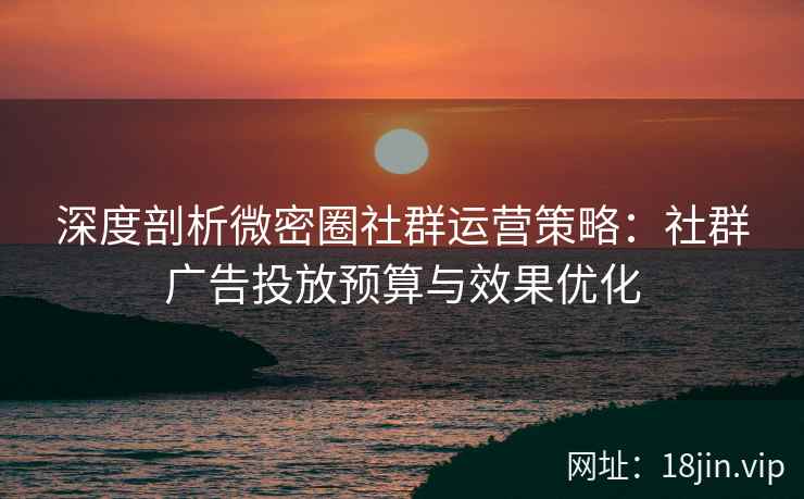 深度剖析微密圈社群运营策略：社群广告投放预算与效果优化