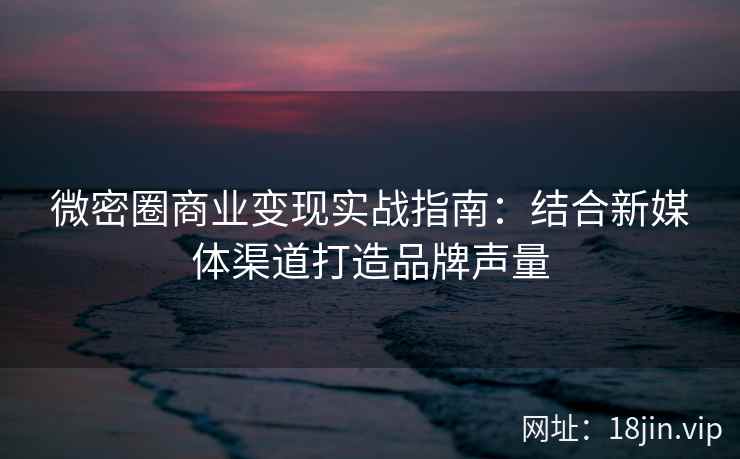 微密圈商业变现实战指南：结合新媒体渠道打造品牌声量