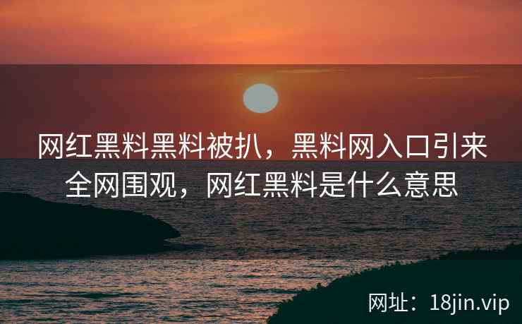 网红黑料黑料被扒，黑料网入口引来全网围观，网红黑料是什么意思