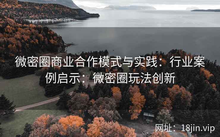 微密圈商业合作模式与实践：行业案例启示：微密圈玩法创新