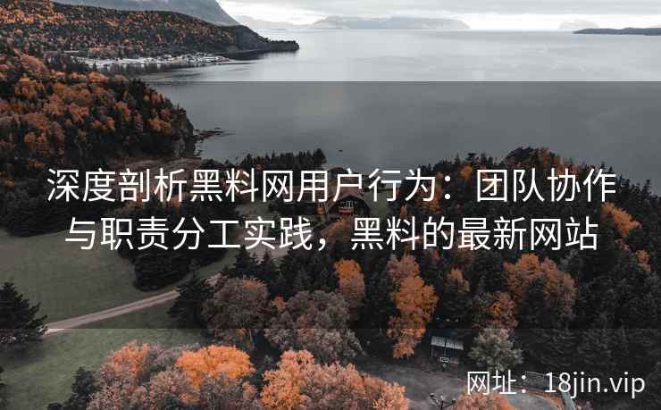 深度剖析黑料网用户行为：团队协作与职责分工实践，黑料的最新网站