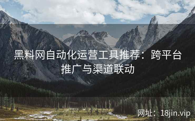 黑料网自动化运营工具推荐：跨平台推广与渠道联动