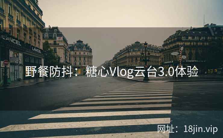 野餐防抖：糖心Vlog云台3.0体验