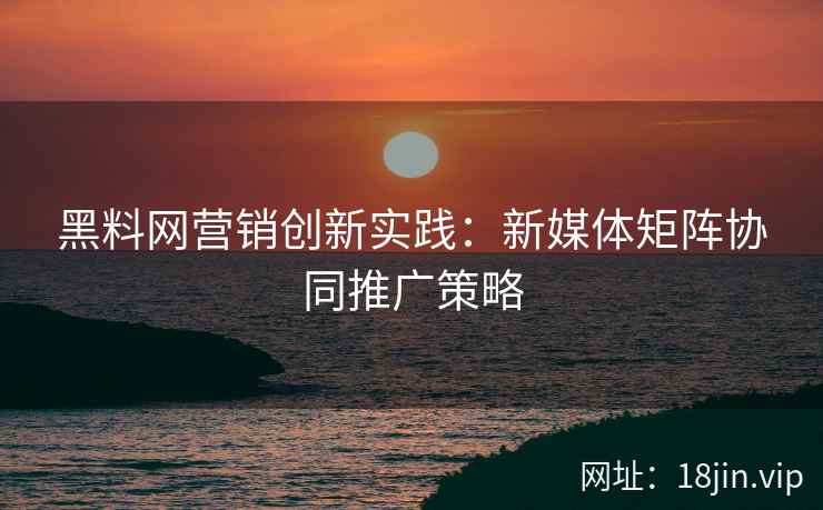 黑料网营销创新实践：新媒体矩阵协同推广策略