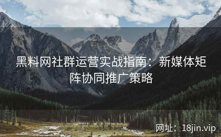 黑料网社群运营实战指南：新媒体矩阵协同推广策略