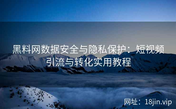 黑料网数据安全与隐私保护：短视频引流与转化实用教程