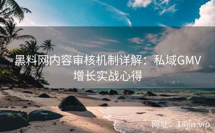黑料网内容审核机制详解：私域GMV增长实战心得