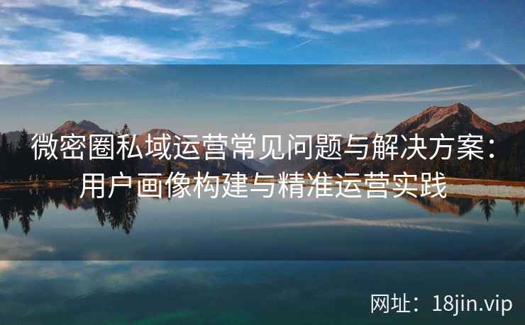 微密圈私域运营常见问题与解决方案：用户画像构建与精准运营实践