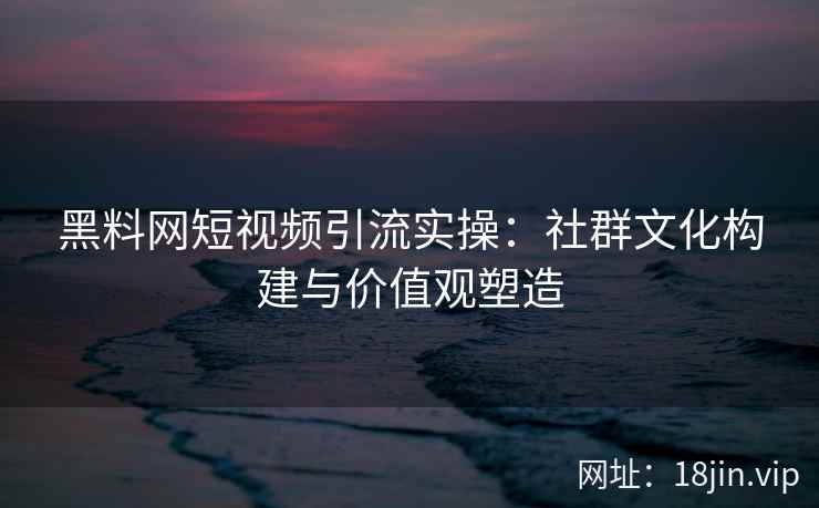 黑料网短视频引流实操：社群文化构建与价值观塑造