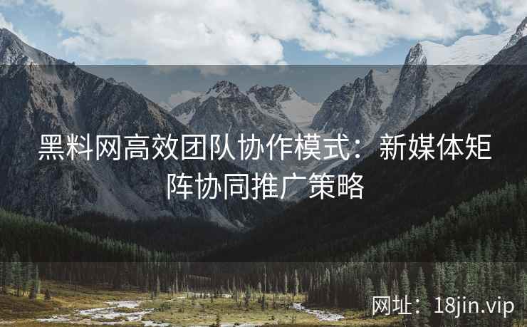 黑料网高效团队协作模式：新媒体矩阵协同推广策略