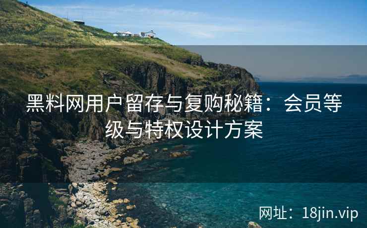 黑料网用户留存与复购秘籍：会员等级与特权设计方案