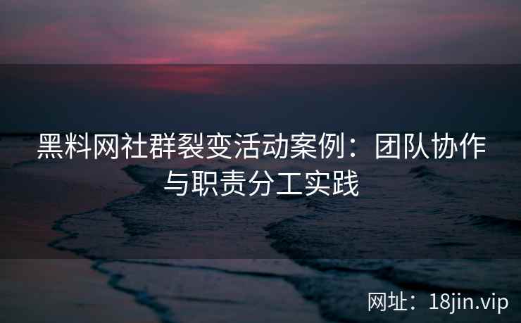 黑料网社群裂变活动案例：团队协作与职责分工实践