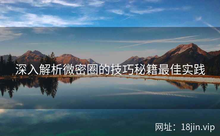 深入解析微密圈的技巧秘籍最佳实践